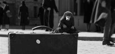 口碑、票房雙失利， 《神奇動物2》 墊底J·K.羅琳電影