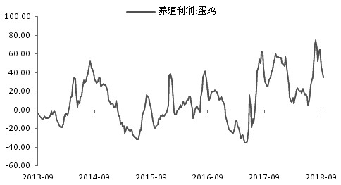 環保助力 雞蛋價格中長期上漲可期