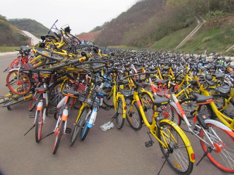 共享單車變共享垃圾，單車“尸體”堆積如山|圖說