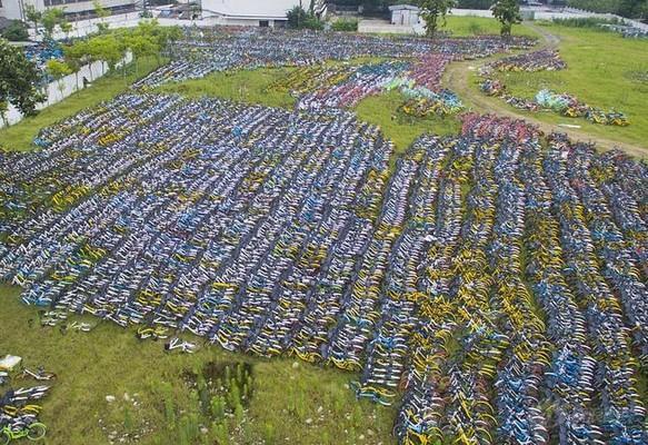 共享單車變共享垃圾，單車“尸體”堆積如山|圖說