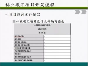 信樹碳匯-林業(yè)碳匯項目開發(fā)流程及案例