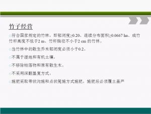信樹碳匯-林業(yè)碳匯項目開發(fā)流程及案例