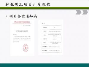 信樹碳匯-林業(yè)碳匯項目開發(fā)流程及案例